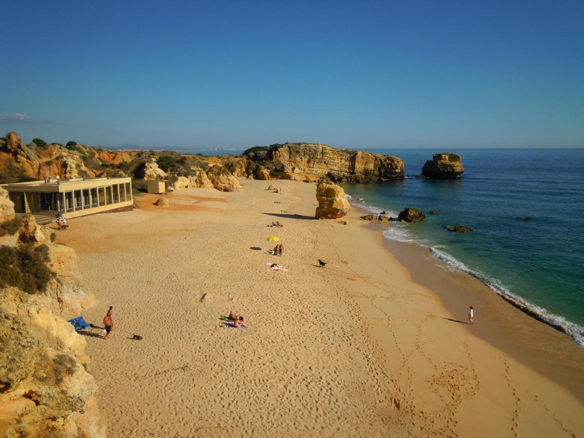 Tropicana One Bedroom Flat T1 In Albufeira Gale Close To 8 Beaches Eksteriør billede