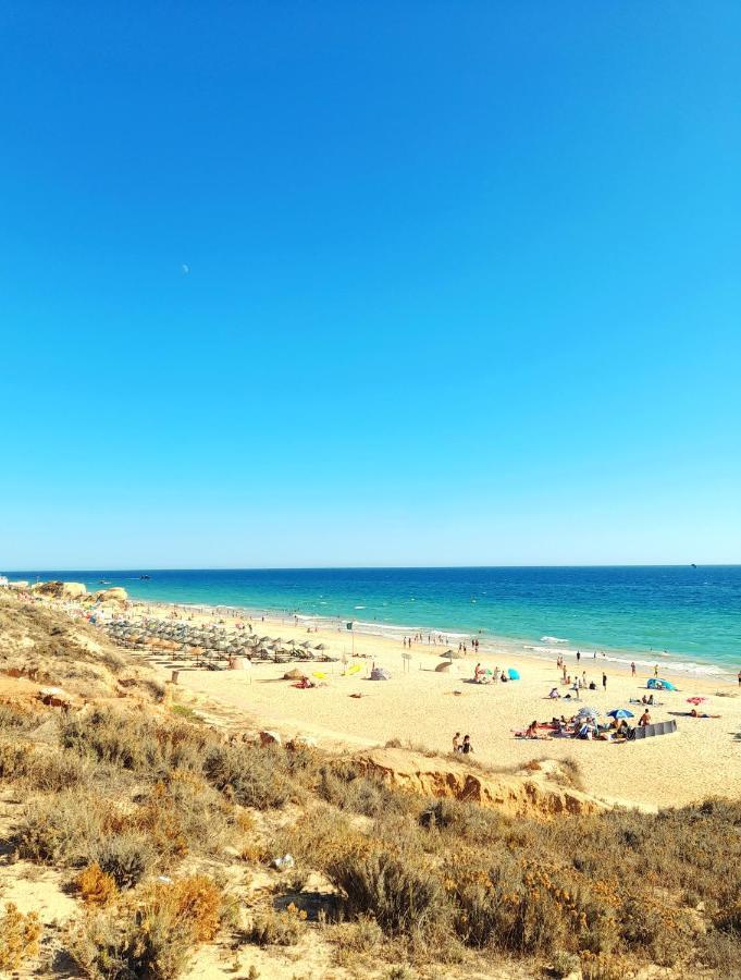 Tropicana One Bedroom Flat T1 In Albufeira Gale Close To 8 Beaches Eksteriør billede