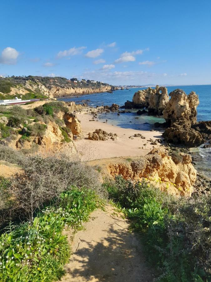 Tropicana One Bedroom Flat T1 In Albufeira Gale Close To 8 Beaches Eksteriør billede