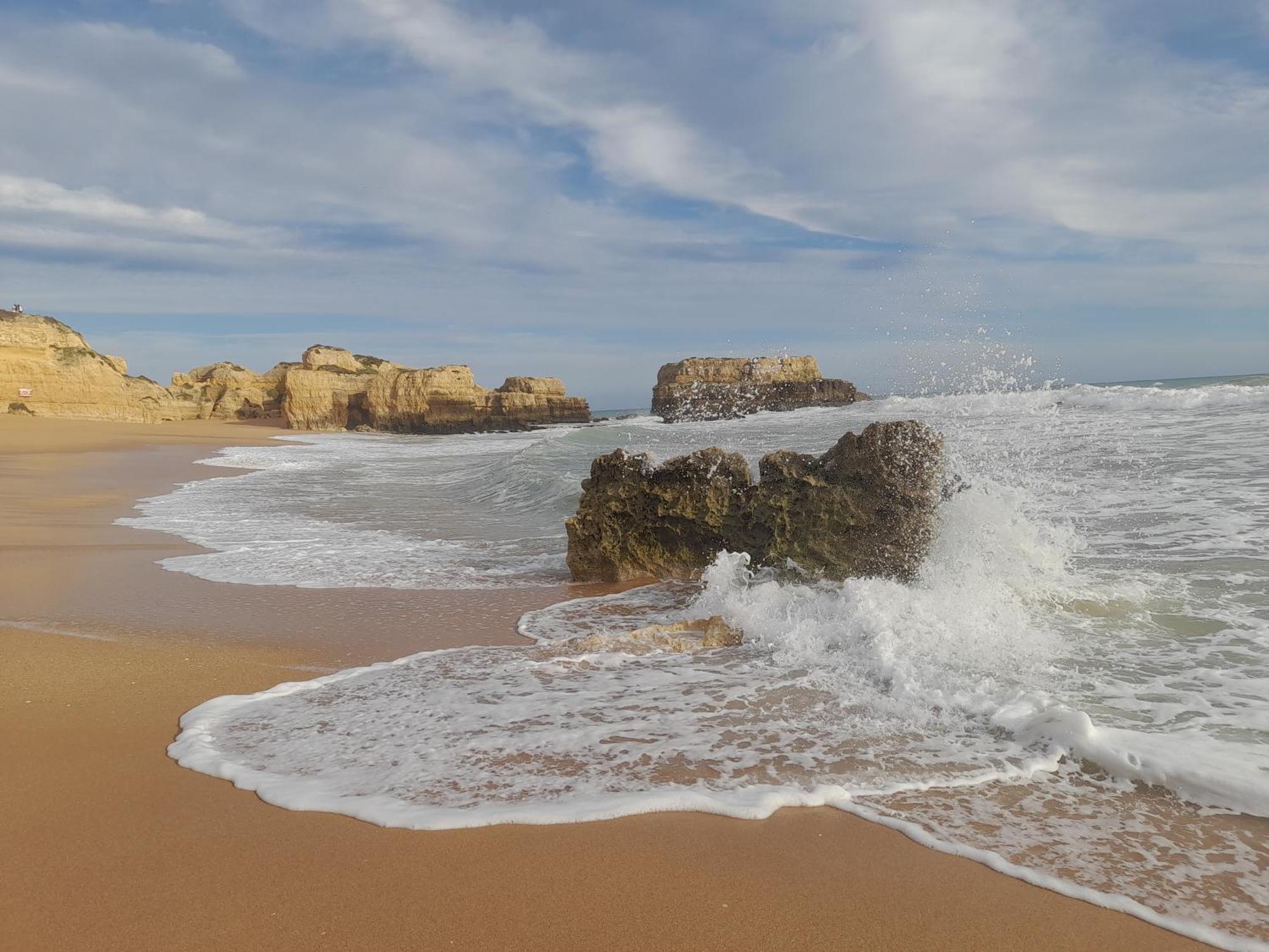 Tropicana One Bedroom Flat T1 In Albufeira Gale Close To 8 Beaches Eksteriør billede